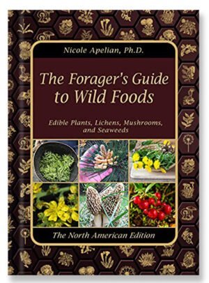 The-Forager’s-Guide-to-Wild-Foods-by--Claude-Davis,-Nicole-Apelian-Cover-eBook