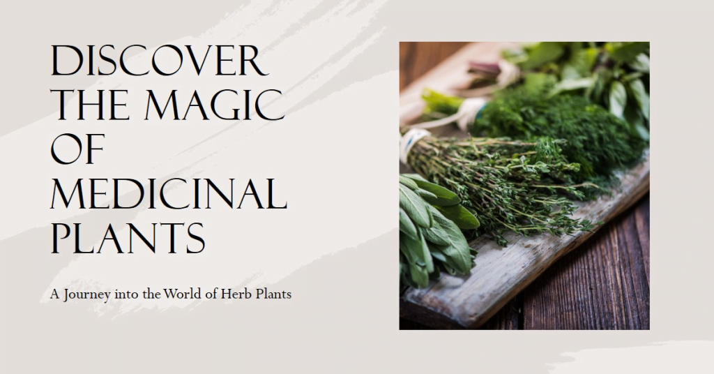 Discover the Magic of Medicinal Plants: A Journey into the World of Herb Plants 1 | Senstantly™ Discover the Magic of Medicinal Plants - A Journey into the World of Herb Plants