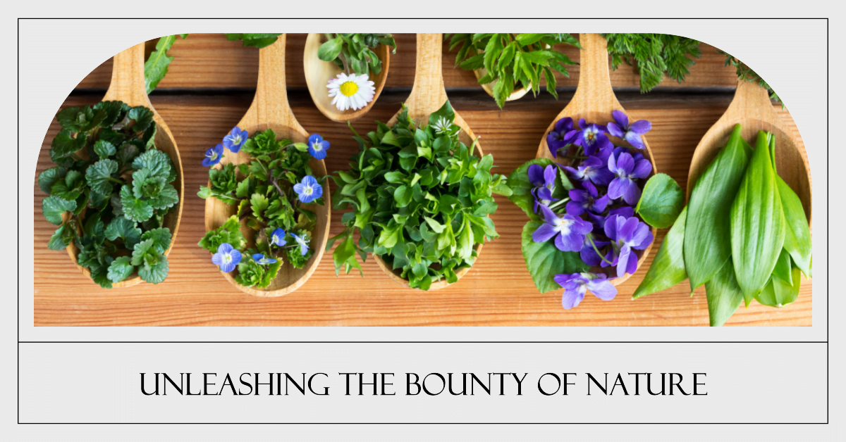 Unleashing the Bounty of Nature: The Forager's Guide to Wild Foods 9 | Senstantly™ Unleashing the Bounty of Nature The Forager’s Guide to Wild Foods
